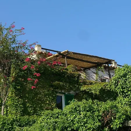 Salato